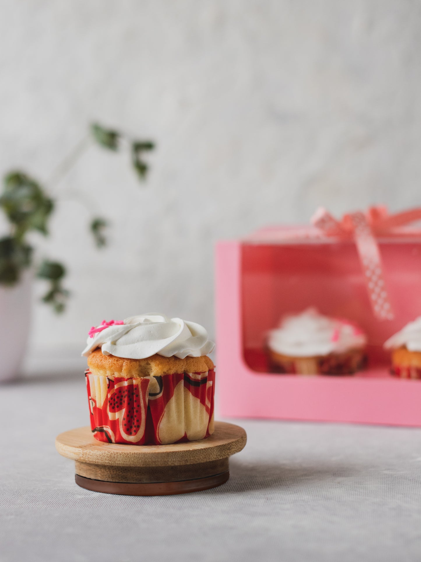 2 Cupcakes Con Visor